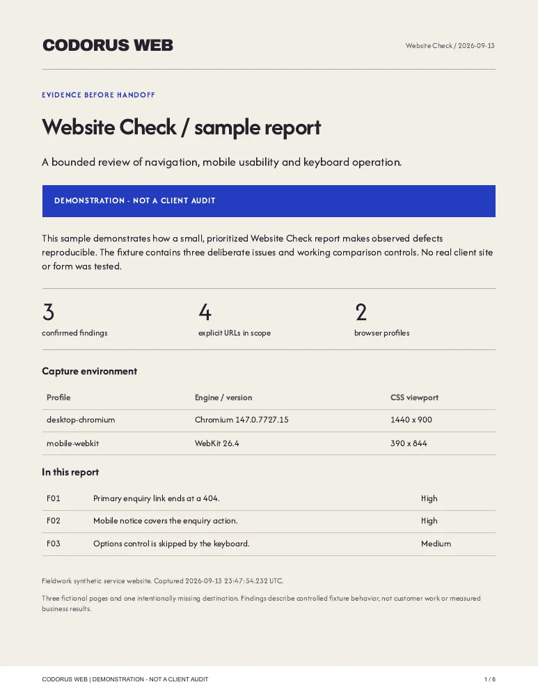 First page of the Website Check sample PDF, labeled demonstration, with checked conditions and a prioritized list of confirmed problems.